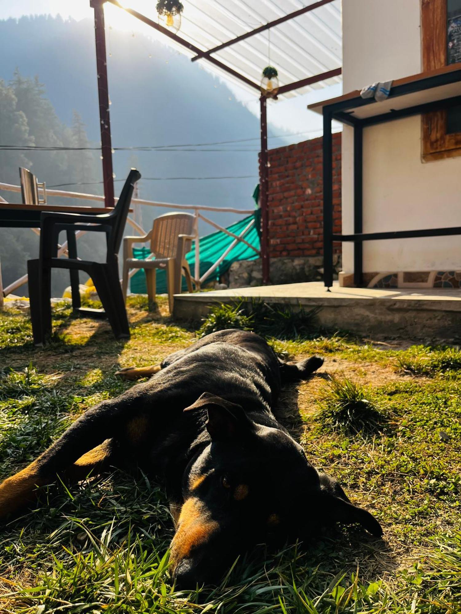 Hotel Adinova Kasol Kültér fotó